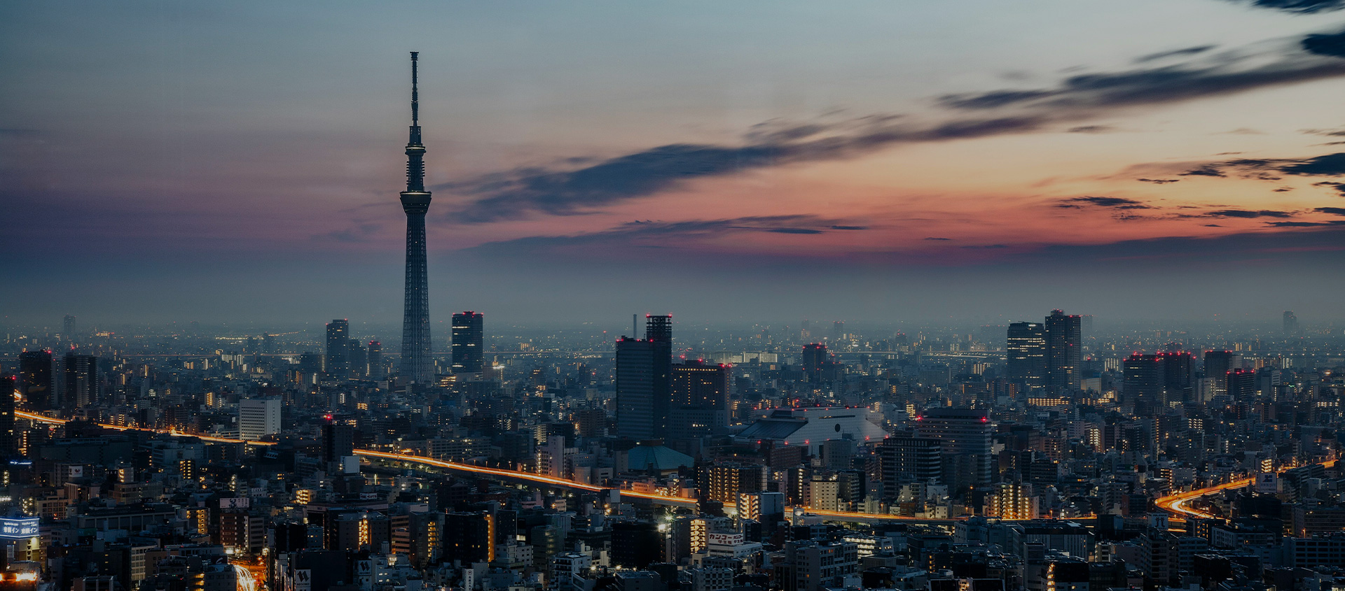 城市观光